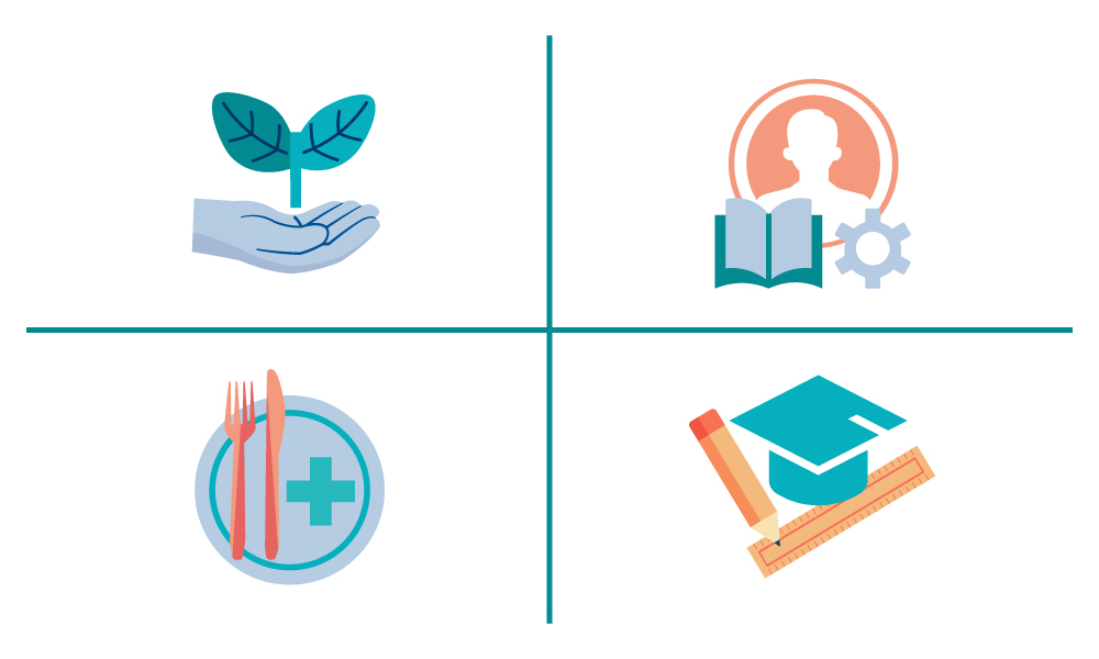 Illustration of different course categories.